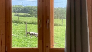 Una porta de fusta amb dos panells de vidre que mostra una zona exterior amb gespa i un gos.