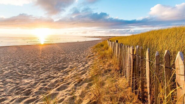Une plage avec une clôture en bois et des dunes de sable.