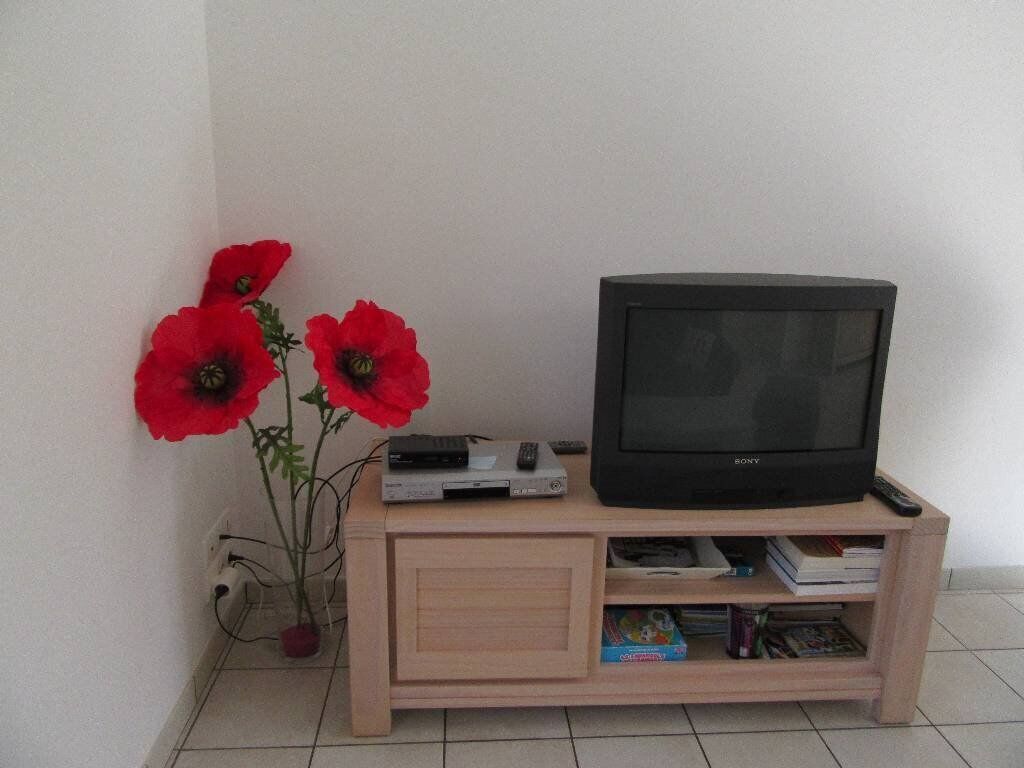A wooden TV stand with a Sony TV, a DVD player, and a remote control.