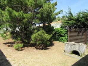 Property grounds - Pétrouchka dans les pins - Saint Hilaire de Riez (SAINT HILAIRE DE RIEZ)