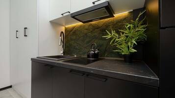 Fridge, oven, stovetop, cookware/dishes/utensils