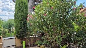 Un jardin avec différentes sortes de plantes et un grand arbre.