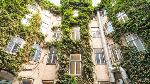 Ein Gebäude mit mehreren Fenstern, das teilweise von dichtem Grün bewachsen ist.