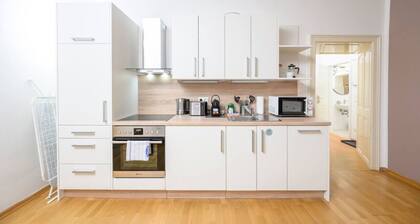 Central Business Apartment