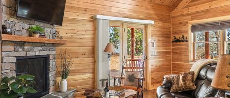 Smart TV, fireplace, books