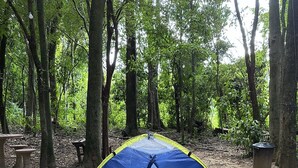 A blue and yellow tent set up in a forested area with trees and a dirt ground. - Recanto das Videiras (Itapira)