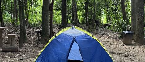 Tienda azul y amarilla montada en un área boscosa con árboles y suelo de tierra.