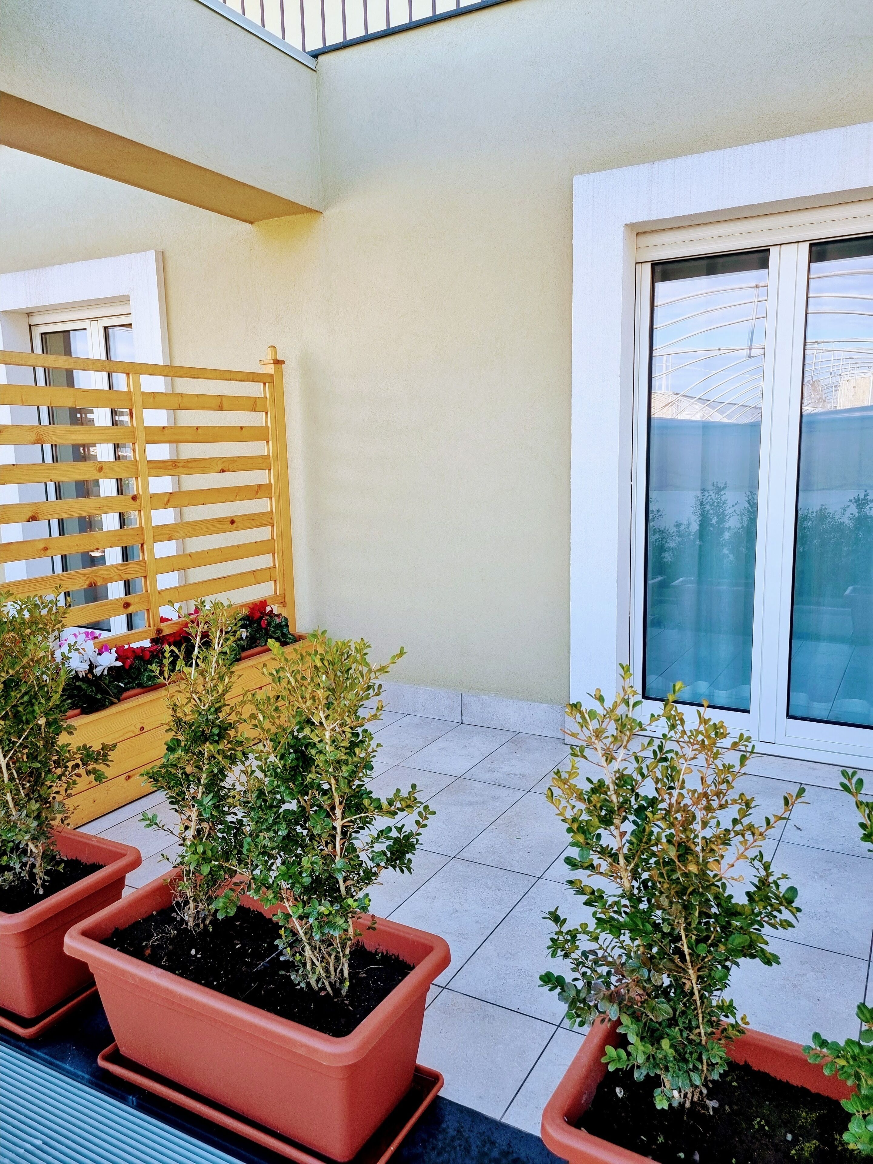 Traditional-Zimmer | Terrasse/Patio