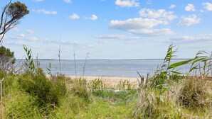 Une plage avec un rivage sablonneux, une végétation herbeuse et un ciel dégagé.