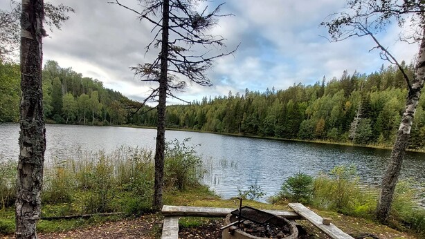 A lakeside campsite with a fire pit and picnic table. - Rotes Holzhaus am See (Nordingra)