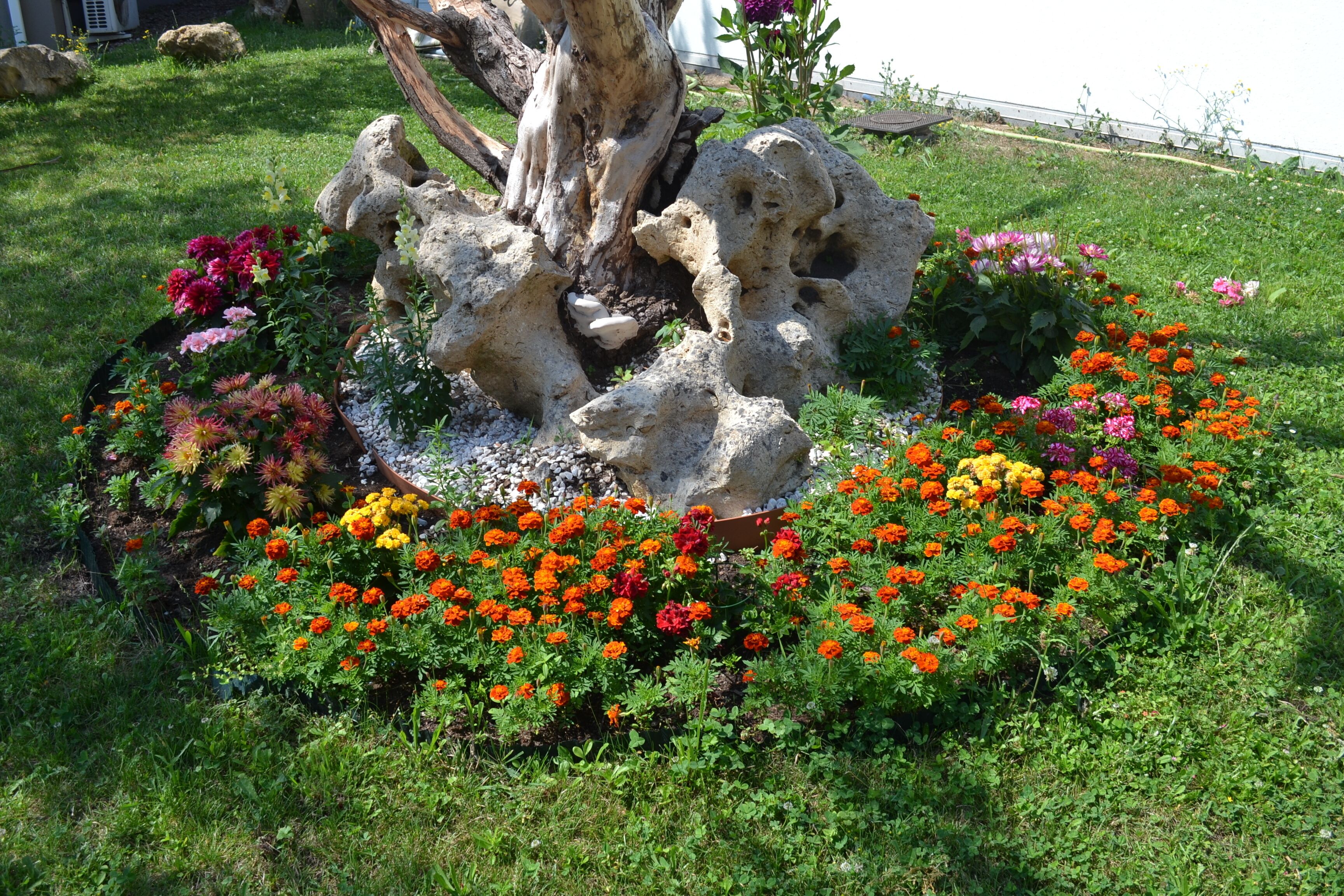 A garden with a central rock formation surrounded by colorful flowers.