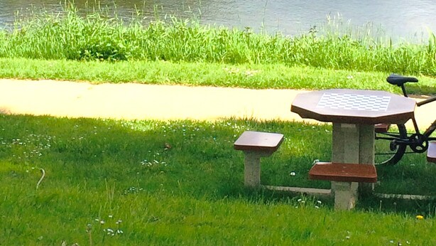 A riverside view with a picnic table and benches, a bridge, and houses in the background.