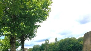 A hammock swing attached to a wooden post in a park.