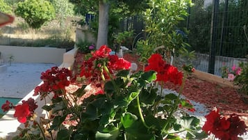 Overnattingsstedets uteområder