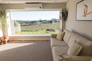 TV, fireplace, books