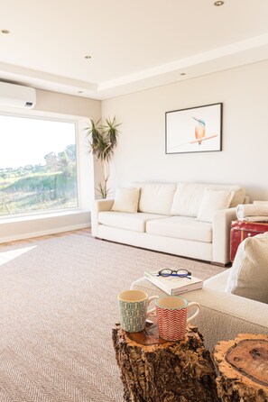 TV, fireplace, books