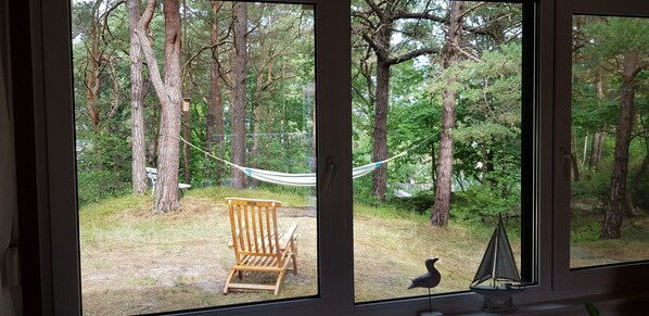 Vista a través de una ventana que muestra un área boscosa con una hamaca, una silla de madera y un pájaro en el alféizar.