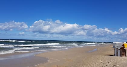 Gemütliches Ferienhaus auf Idyllischem Waldgrundstück, 100 m bis zur Ostsee