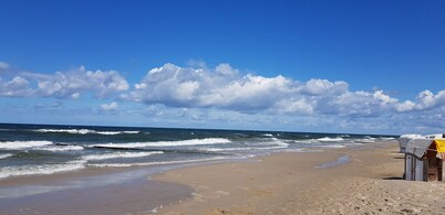 Gemütliches Ferienhaus auf Idyllischem Waldgrundstück, 100 m bis zur Ostsee