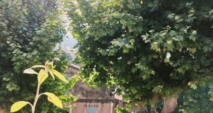 L'appartement de l'Arche