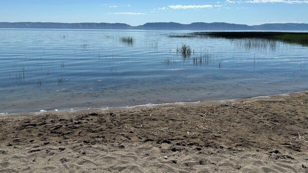 Una spiaggia nelle vicinanze