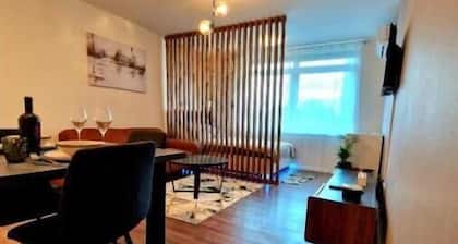 Designer-furnished Studio Apartment for a single person or a couple.