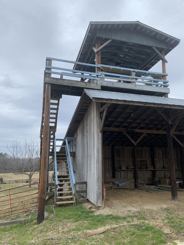 A rustic barn with a metal roof, a wooden ladder, and a metal staircase leading to a loft area. - Got Cabin Fever? - The Pretty Petunia (Pleasant Garden)