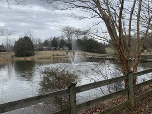 Property grounds - Got Cabin Fever? - The Pretty Petunia (Pleasant Garden)