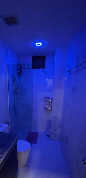 Shower, hair dryer