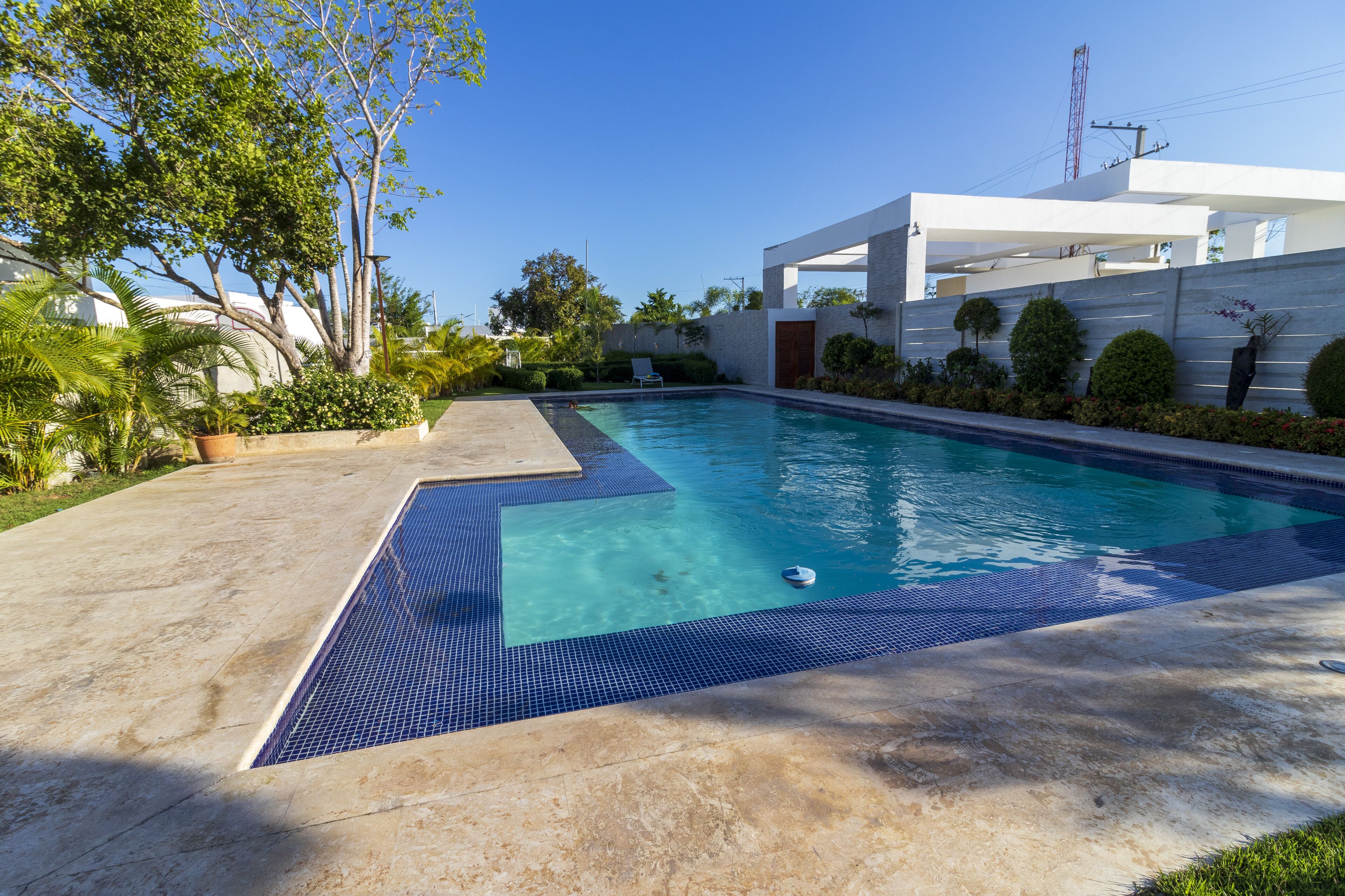 A swimming pool with a tiled edge, surrounded by a concrete deck and greenery.