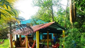 A covered outdoor seating area with chairs and hammocks, surrounded by lush greenery. - amalaya hostel (Restrepo)