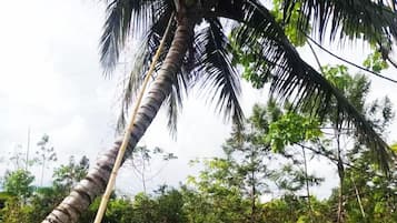 2 piscinas al aire libre