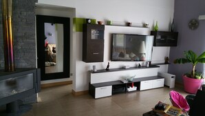 Een moderne woonkamer met een flatscreen televisie, inbouwkasten, een open haard en een potplant.