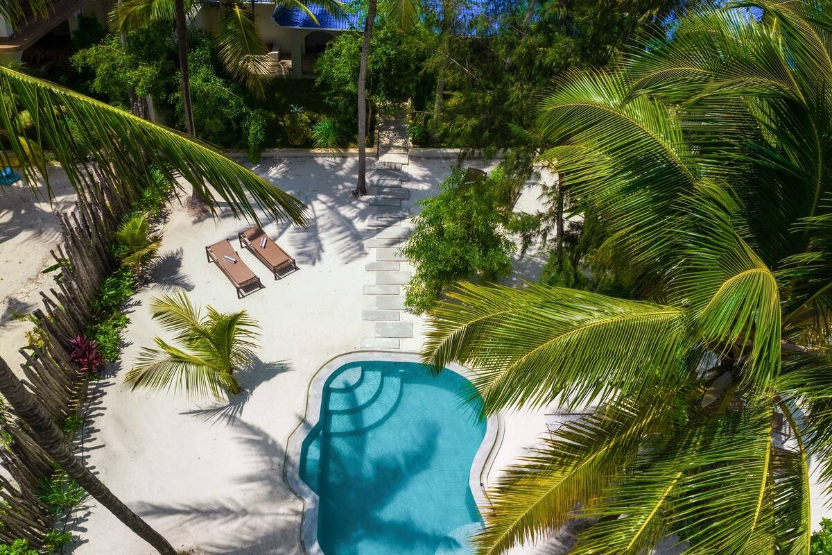 A pool surrounded by palm trees and lounge chairs, with a clear sky above.