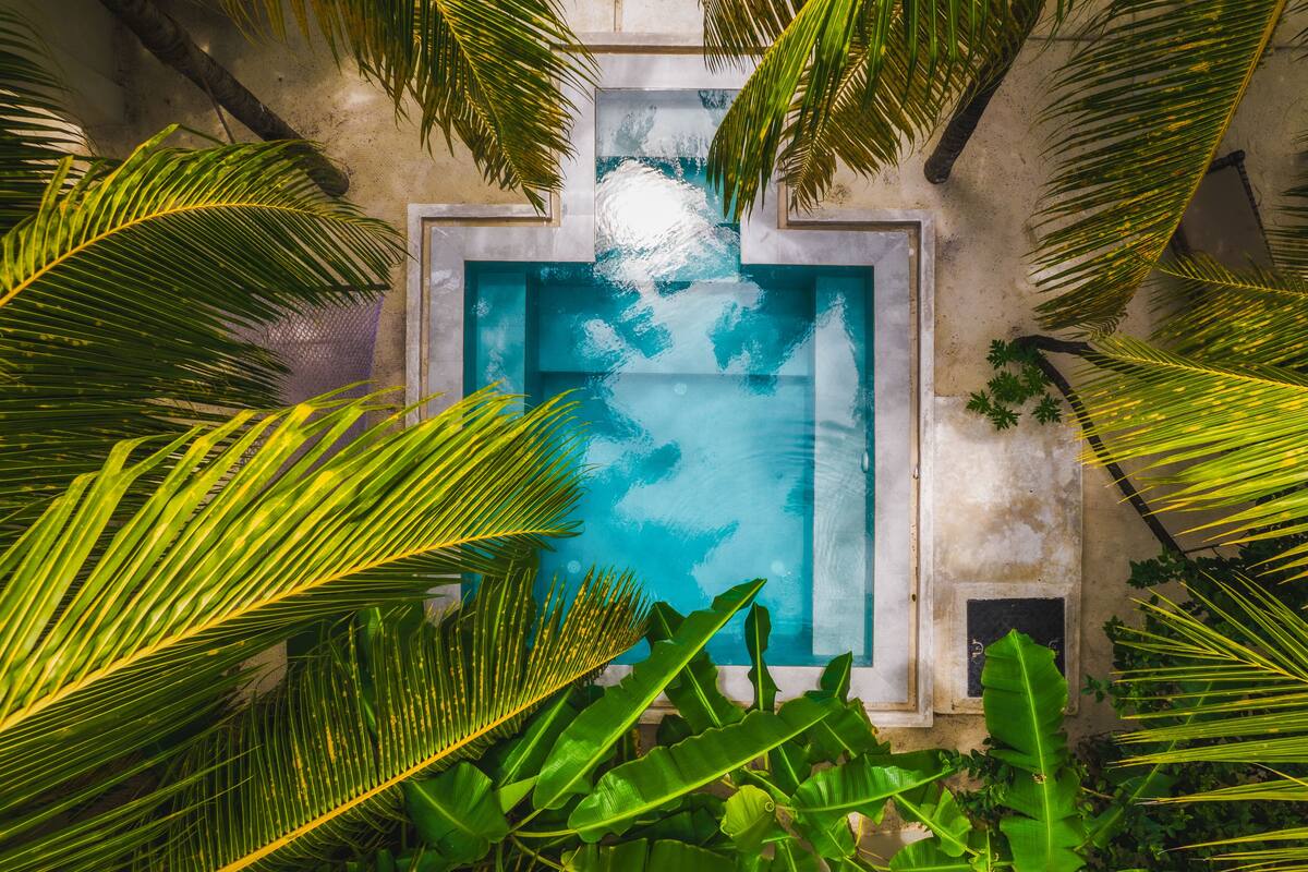 A rectangular pool with clear blue water, surrounded by lush green tropical plants.