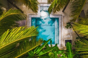 别墅, 私人游泳池, 花园景观 | 私人游泳池