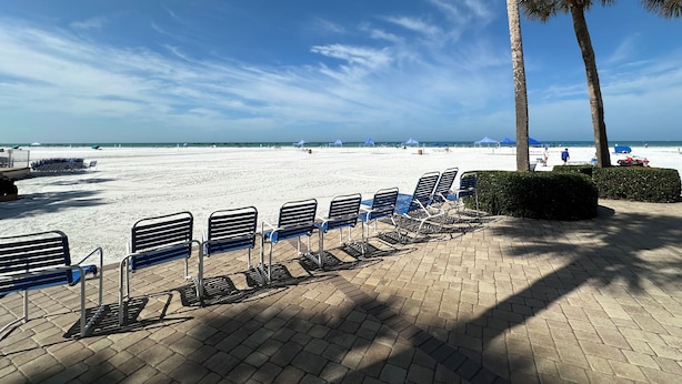 Una zona sulla spiaggia con file di sedie blu e palme.