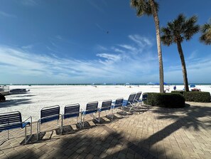 A beachside area with rows of blue chairs and palm trees. - SK Condo on Beach  - 2 Pools, Private Beach  - Island Time T504 SSRC - sleeps 6  (Sarasota)