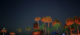 Island Time 504 Siesta Key Beach located Sarasota Surf & Racquet Club