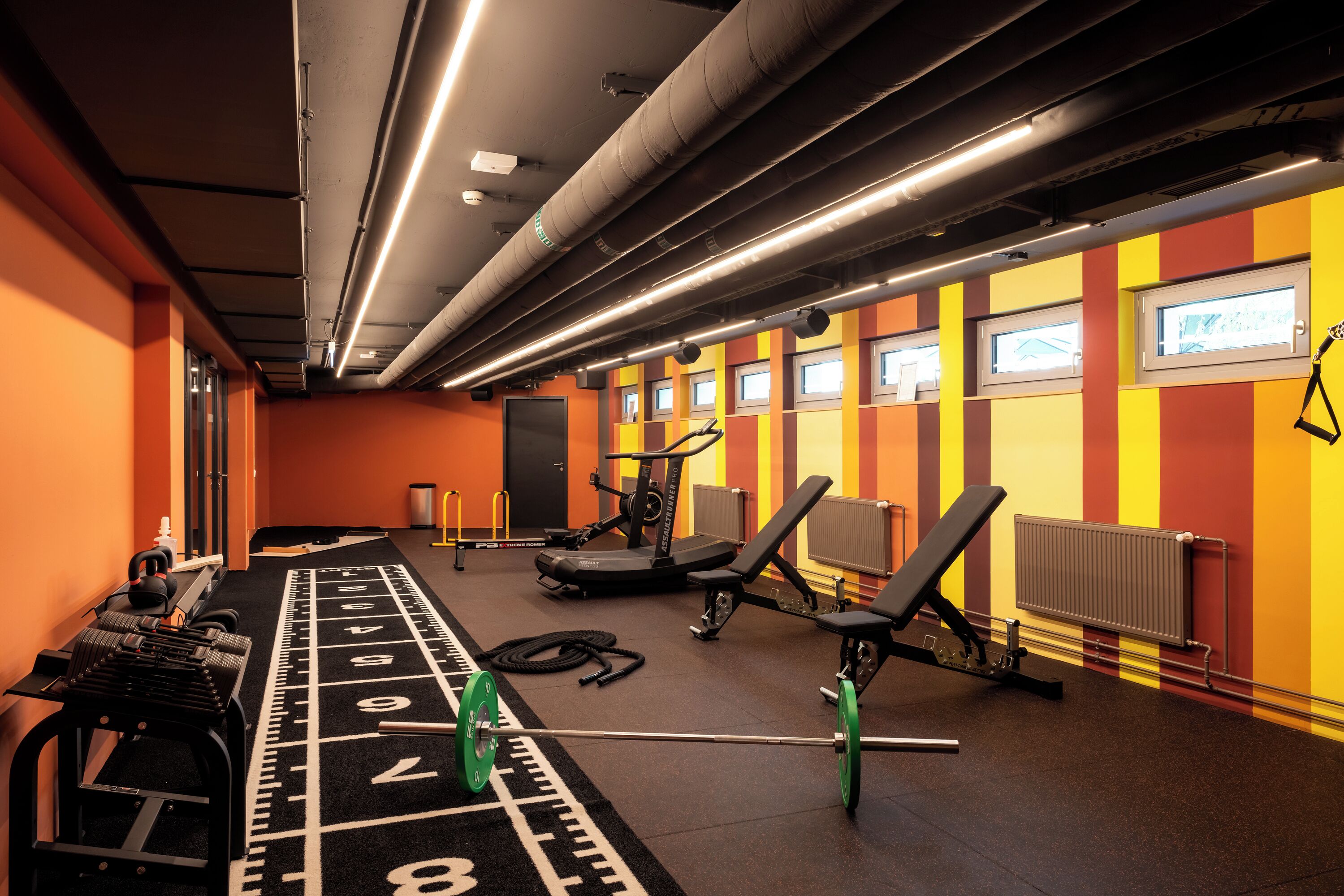 A gym with exercise equipment, a weightlifting bench, and a treadmill.