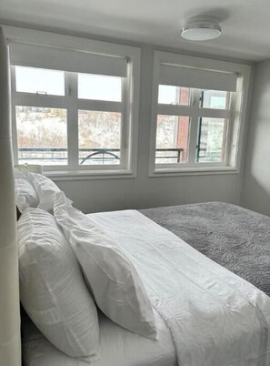 1 soverom, strykejern/-brett, wi-fi (inkludert) og sengetøy