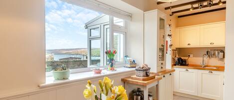 Dishwasher, highchair