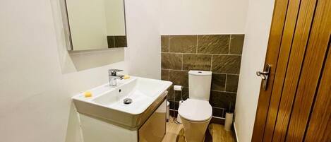 A bathroom with a white sink, a toilet, and a mirror.