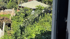 Vista desde una ventana sobre un paisaje verde y exuberante, con diversos árboles y una masa de agua distante.