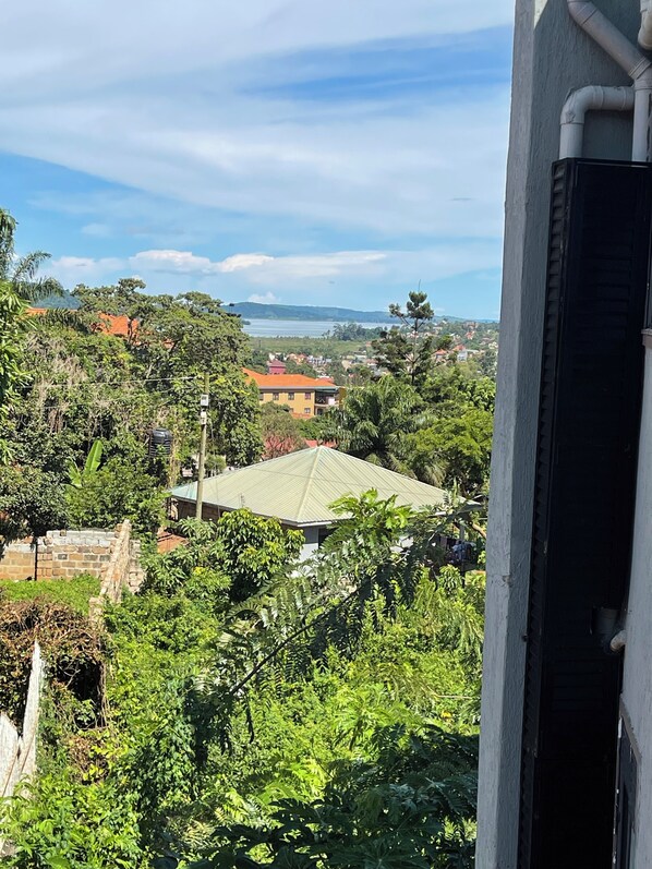 A view from a window overlooking a lush green landscape with a variety of trees and a distant body of water.