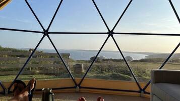 Cabin | Property grounds