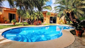 Pool - Clean and comfortable bed and breakfast in the heart of Playa Del Carmen (Playa del Carmen)