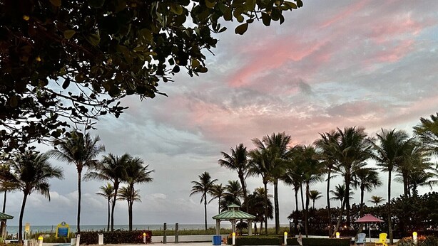 A park with palm trees, a gazebo, and a view of the ocean. - Sapphire by the Sea Unit 8 - King Pool View Suite, kitchen, pool view, Sleeps 2 (Fort Lauderdale)