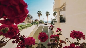 Un camino que lleva a un edificio con vista al mar, rodeado de palmeras y flores rojas.