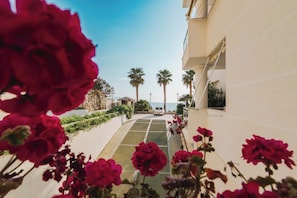 Property grounds - Albania Dream Holidays Accommodation (Sarandë)